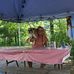 Profile Picture of Robert Kibbe (@robert.kibbe.52) on Facebook