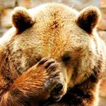 Profile Picture of Benjamin Willson (@bruinstreamsinger) on Instagram