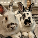 Profile Picture of Aaron Ross (@aaronross1) on Flickr