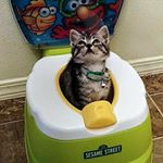 Profile Picture of shawn kimbrel (@shawnkimbrel1969) on Instagram