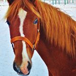 Profile Picture of Zachary (@zacharygilmer525) on Instagram