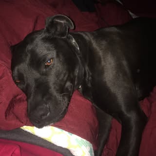 Profile Picture of Baxter Arnold (@baxter_arnold) on Instagram