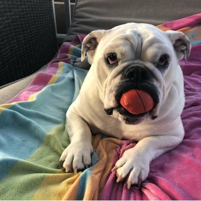 Profile Picture of Barry Dick (@BarryDick6) on Twitter