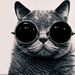 Profile Picture of John Fornal Jr. (@fornaljohn501) on Pinterest