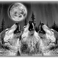 Profile Picture of Harold Pope (@harold-pope) on Quora