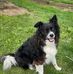 Profile Picture of Mary Sabol (@mary.sabol.965) on Facebook