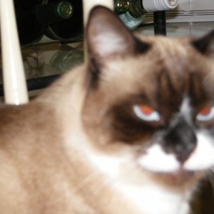 Profile Picture of Kenneth Overstreet (@375831057) on Myspace