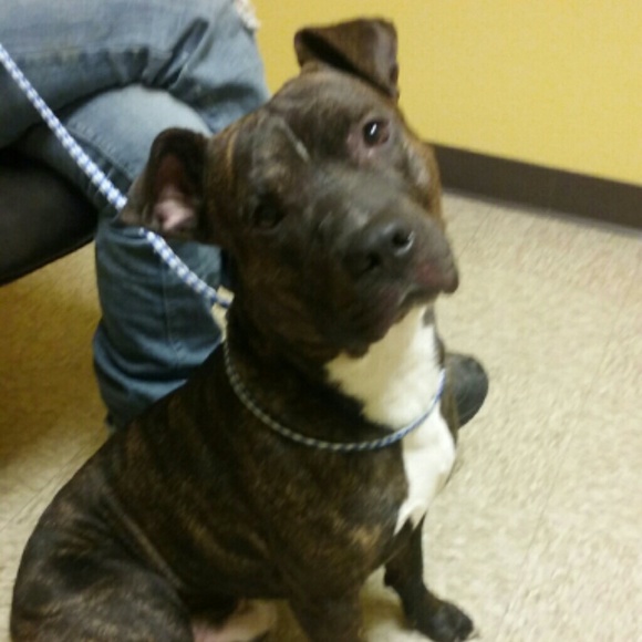 Profile Picture of Kelsey Indish (@kelseyi0424) on Poshmark