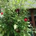 Profile Picture of Martha Primosch (@martha.primosch.585) on Facebook