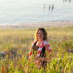 Profile Picture of Tammy Fickies (@rockytheredsetter) on Instagram