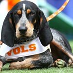 Profile Picture of Jerry Mcculloch (@mccullochjerry) on Instagram