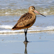 Profile Picture of Chris Dowdy (@chrisdowdy3100) on Youtube