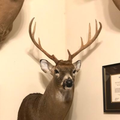 Profile Picture of Kevin Brinkley (@kcbrinkley) on Twitter