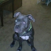 Profile Picture of Cindy Kennedy (@ckennedy60) on Youtube