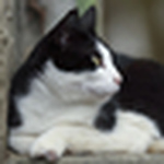 Profile Picture of Takeuchi Sora (@takeuchi sora) on Flickr