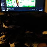 Profile Picture of Tim Collins (@tim.collins.7509) on Instagram