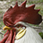 Profile Picture of William Fischer (@JibberFisch) on Flickr