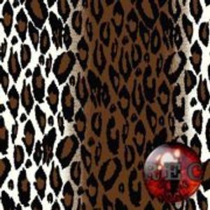 Profile Picture of Shantel Cruz (@shantel.cruz1) on Myspace