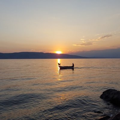 Profile Picture of Dr Horvath Katalin (@DrKataHorvath) on Twitter