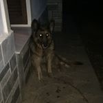 Profile Picture of JimDimos (@jimdimosiaris) on Instagram