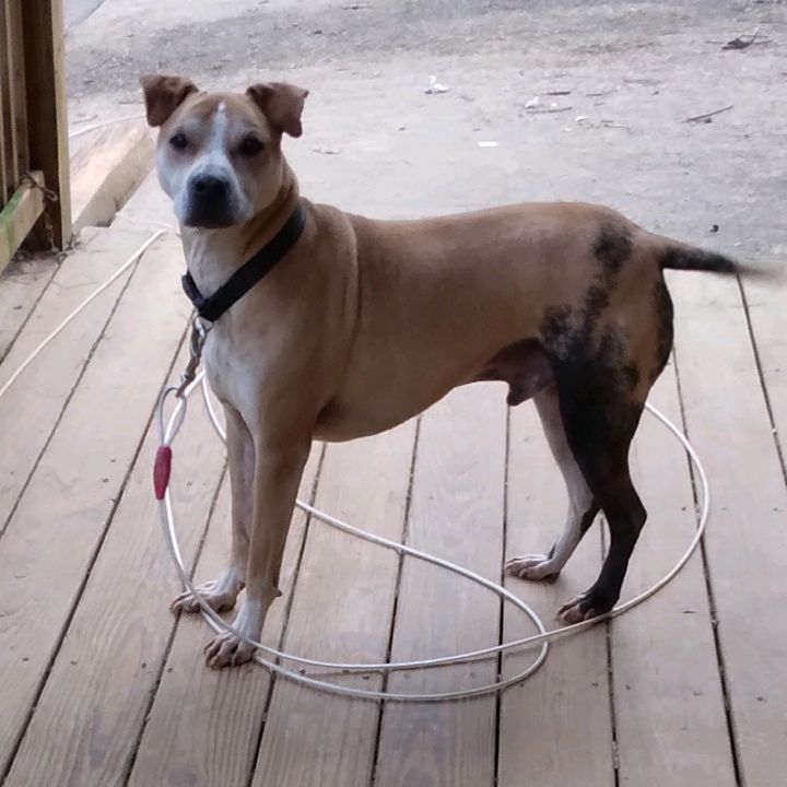 Profile Picture of Lisa Cullingford (@lisacullingford60) on Tiktok