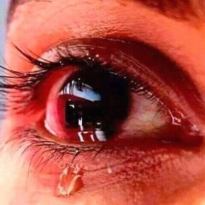 Profile Picture of S.S. Siyad Mohamed (@SSSiyadMohamed1) on Twitter