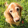 Profile Picture of Toby Mark (@tobymark) on Flickr