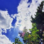 Profile Picture of Dawn Custer (@dawnalei) on Instagram
