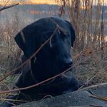 Profile Picture of Daryll Overby (@overby_13) on Instagram