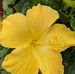 Profile Picture of Diana McDougall (@diana.mcdougall.98) on Facebook