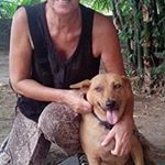 Profile Picture of sonja brady (@bradysonja) on Instagram