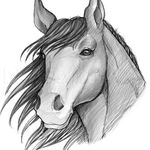 Profile Picture of Annie_Mcartney❤️🏳️‍🌈🐴 (@annie_mcartney) on Instagram