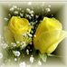 Profile Picture of Mary Yoder (@mary.yoder.1612) on Facebook