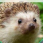 Profile Picture of Joel Cartwright (@joelcartwright6) on Instagram
