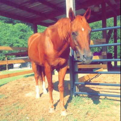 Profile Picture of Keri Ann Saxton (@KeriSaxton0699) on Twitter