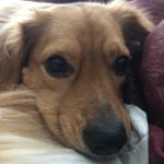 Profile Picture of Scott (@scottelands36) on Instagram