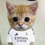 Profile Picture of Alechis Menor (@Alechis-Menor) on Facebook