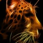 Profile Picture of leonhiggins (@leonhiggins29) on Instagram