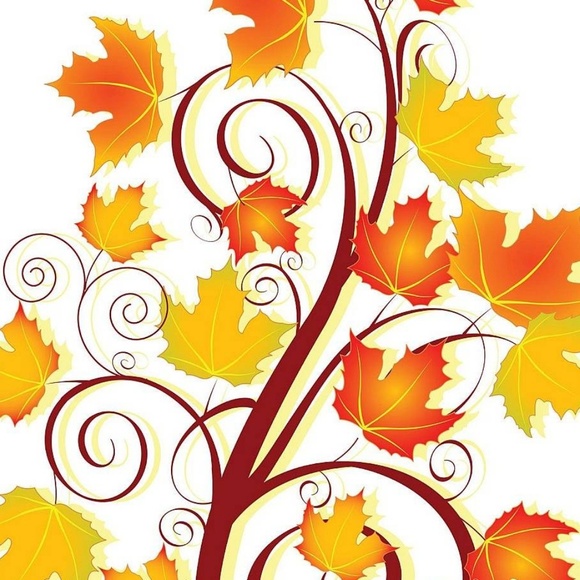 Profile Picture of Karla Rastall (@kazmnr) on Poshmark