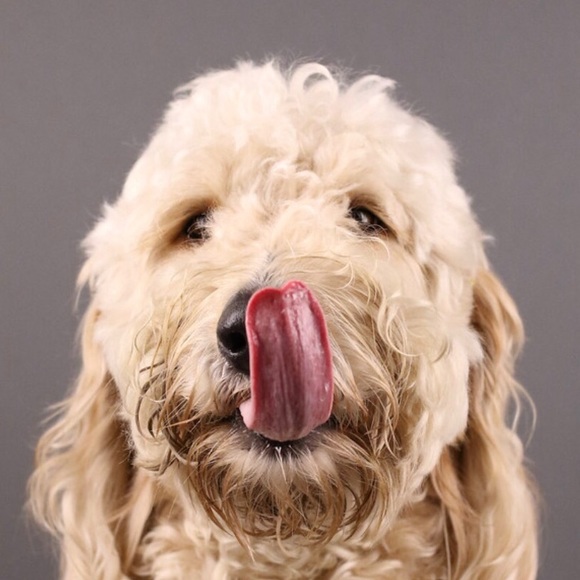 Profile Picture of Chase Goodwin (@cegoodwin0105) on Poshmark