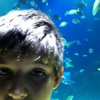 Profile Picture of Jimmy Bostick (@jimmy-bostick) on Quora