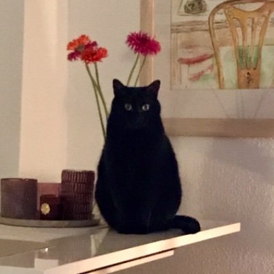 Profile Picture of Chris Eis (@chriseis24) on Twitter