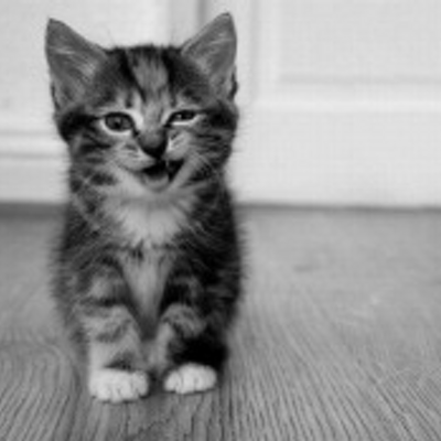 Profile Picture of Benjamin Vilas Boas (@fipuvujaloc) on Twitter