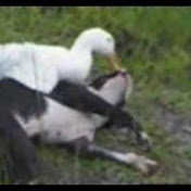 Profile Picture of David Mardis (@david836) on Youtube