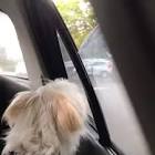 Profile Picture of   Ashlee Filby (@y2ashlee)... (@y2ashlee) on Tiktok