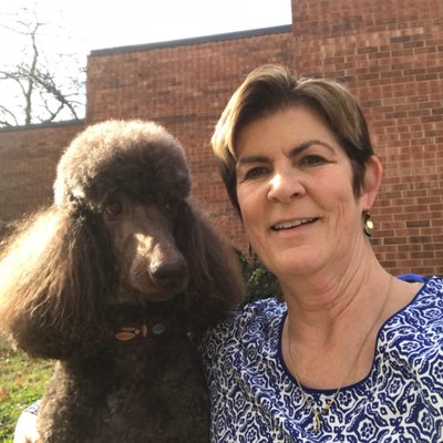 Profile Photo of Linda H Gower (@lhgower) on Twitter