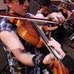Profile Picture of Matthew Box (@Matthew-Box) on Facebook