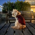 Bianca Barroga - Facebook Profile Picture of Bianca Barroga (@pbsbarroga) on Facebook