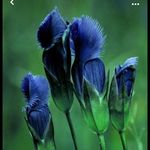 Profile Picture of Michaela Rothbarthová (@michaela.rothbarthova) on Instagram