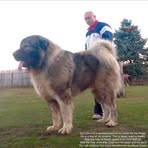 Profile Picture of Allen Parker (@Allen-Parker) on Facebook